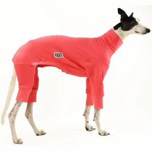 Hound-Tees Watermelon Snoot Suit, Size Greyhound Medium